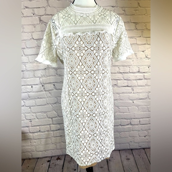 Ethereal by Paper Crane Lace Dress Large - Picture 1 of 11